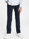 GAP Washwell Kids Jeans